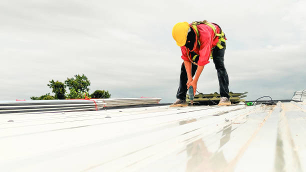 Best Sheet Metal Roofing  in Midway, GA